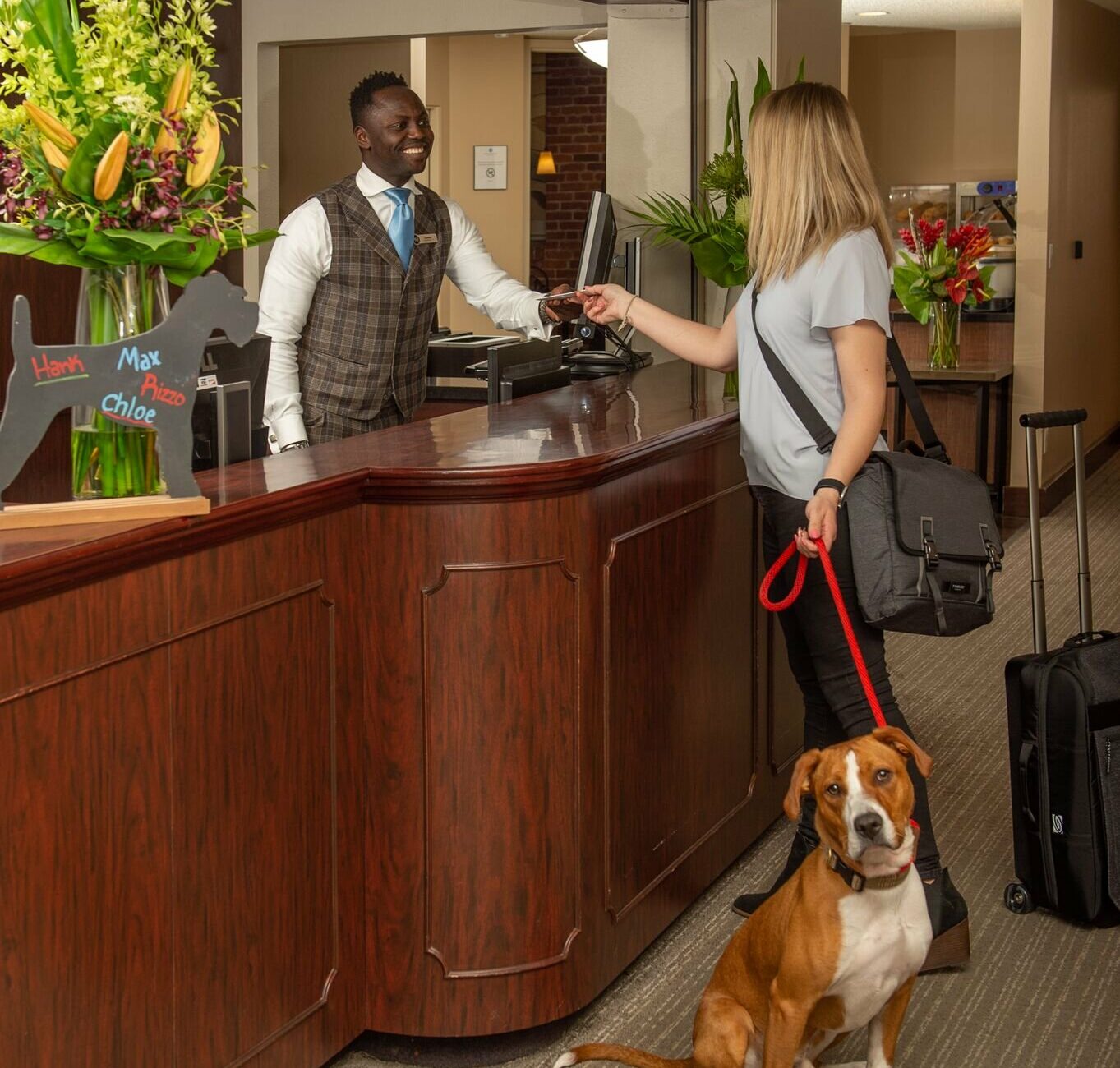 Pet Friendly - Mark Spencer Hotel